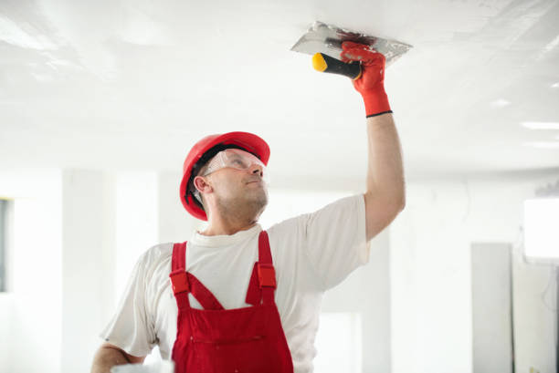 Mold Documentation for Insurance Claims in Gastonville, PA